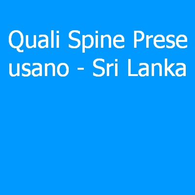 Sri Lanka – Quali spine (prese) eletriche si usano?