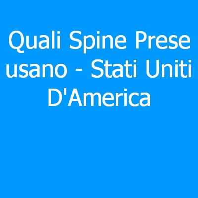 Stati Uniti D’America – Quali spine (prese) eletriche si usano?