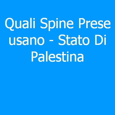 Stato Di Palestina – Quali spine (prese) eletriche si usano?