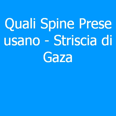 Striscia di Gaza – Quali spine (prese) eletriche si usano?