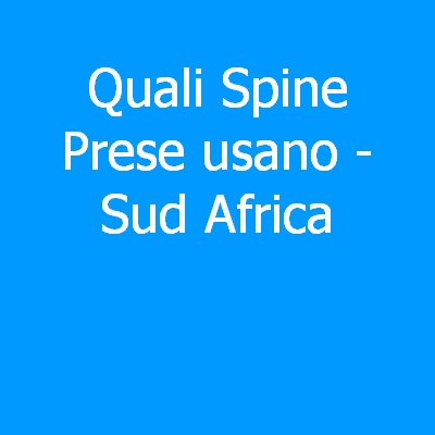 Sudan Del Sud – Quali spine (prese) eletriche si usano?