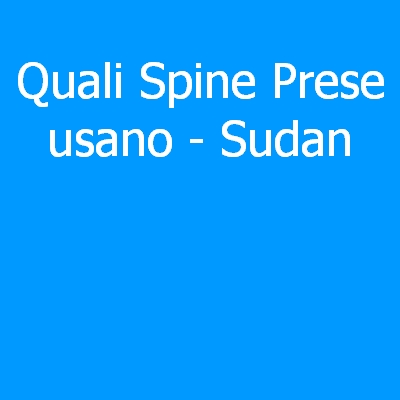 Sud Africa – Quali spine (prese) eletriche si usano?