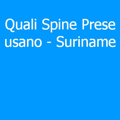 Suriname – Quali spine (prese) eletriche si usano?