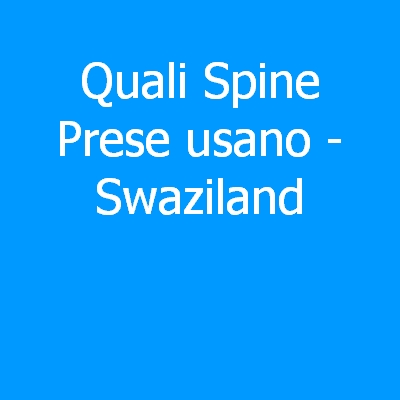 Swaziland – Quali spine (prese) eletriche si usano?