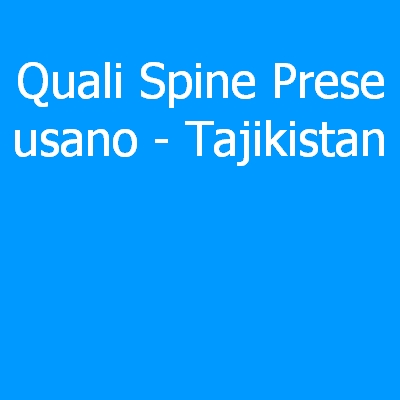 Taiwan – Quali spine (prese) eletriche si usano?