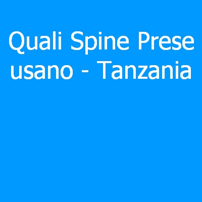 Tajikistan – Quali spine (prese) eletriche si usano?