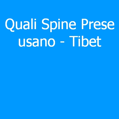 Tibet – Quali spine (prese) eletriche si usano?