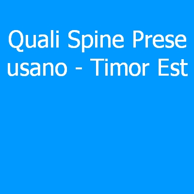 Timor Est – Quali spine (prese) eletriche si usano?