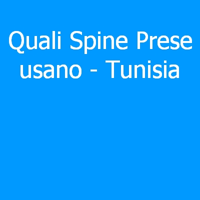 Tunisia – Quali spine (prese) eletriche si usano?