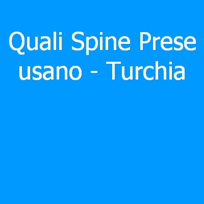 Turchia – Quali spine (prese) eletriche si usano?