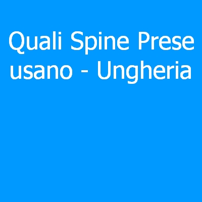 Ungheria – Quali spine (prese) eletriche si usano?