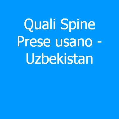 Uzbekistan – Quali spine (prese) eletriche si usano?