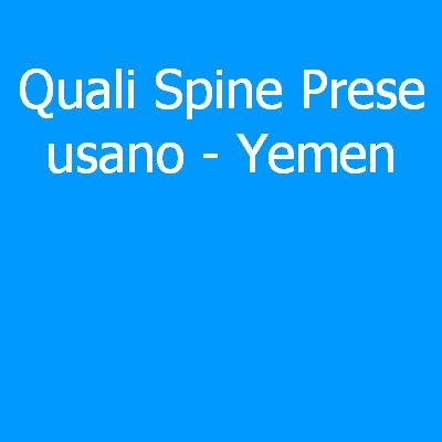 Yemen – Quali spine (prese) eletriche si usano?