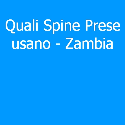 Zambia – Quali spine (prese) eletriche si usano?